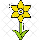 Daffodil  Icon