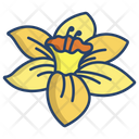 Daffodil  Icon