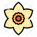 Daffodil Icon