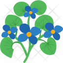 Daffodil  Icon