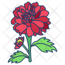 Dahlia Flower Blossom Icon