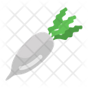 Daikon  Icon