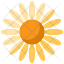 Daisy Flower Floral Icon