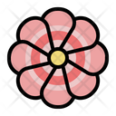 Daisy Flower Blossom Plant Icon