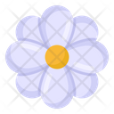 Daisy Flower Icon