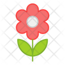 Daisy Flower Floweret Bloom Icon