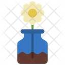 Daisy Flower Pot Icon