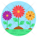 Daisy Flowers Flowerets Blossom Icon