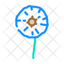 Dandelion Flower Icon