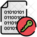 Data Encryption Inspect Icon