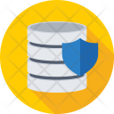 Data Security Shield Icon