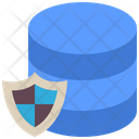 Data Storage Shield Icon