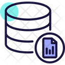 Database Report Icon