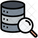 Database Search Search Database Server Search Icon