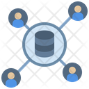Database Server Database Server Connection Icon