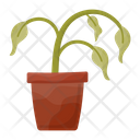 Dead plant Icon