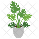 Decorative Plant Icon