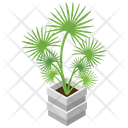Decorative Plant Icon