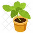 Decorative Plant Icon