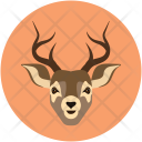 Deer  Icon