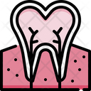 Dental Nerve Icon