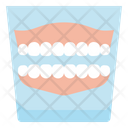 Denture Dental Care Icon