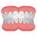 Denture Healthcare And Medical Handicapped Icon