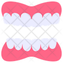 Dentures Dental Tooth Icon