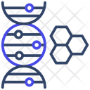 Deoxyribonucleic Acid Icon
