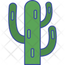 Cactus Desert Nature Icon