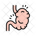Digestion System Icon