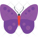 Diggy Skipper Icon