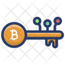 Digital Bitcoin Key Icon