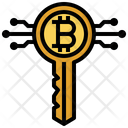 Digital Key Password Safe Icon