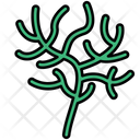 Dill Green Vegetable Icon
