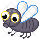 Diptera Icon