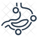 Diseases  Icon