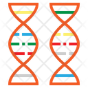 Dna Biology Genetic Icon