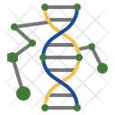 Dna Matching Icon