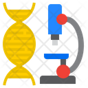 Dna Research Microscope Research Icon