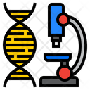 Dna Research Microscope Research Icon