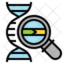 Dna Structure Base Icon