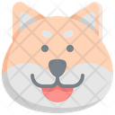 Dog Shiba Japan Icon