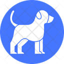 Dog Doggie Domesticated Animal Icon