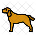 Dog Mammal Pet Icon
