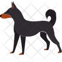 Animal Canine Dog Icon