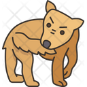 Dog  Icon