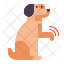 Dog Begging Icon