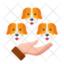 Dog Breeder Icon