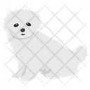 Dog Cartoon Icon
